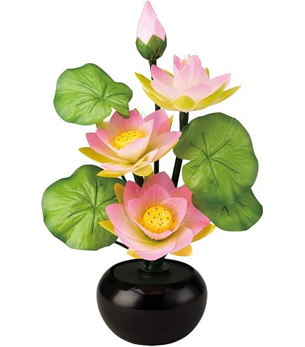 Amazon｜盆提灯 蓮華灯 ルミナス グラジオラス No.2 電気コード式LED
